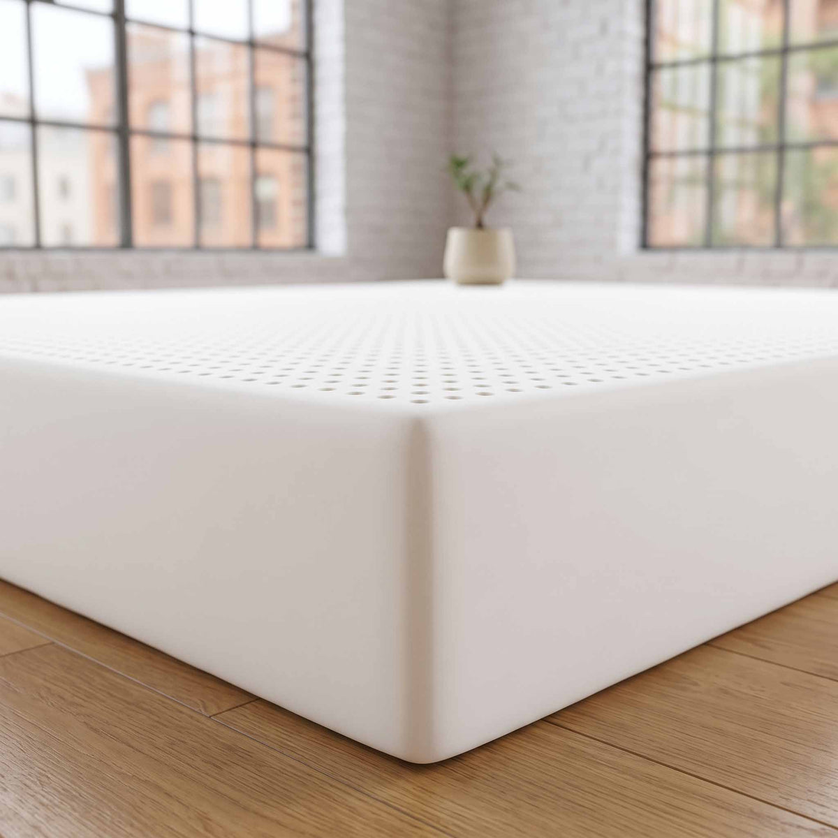 Talalay Latex Core - Classic or Natural