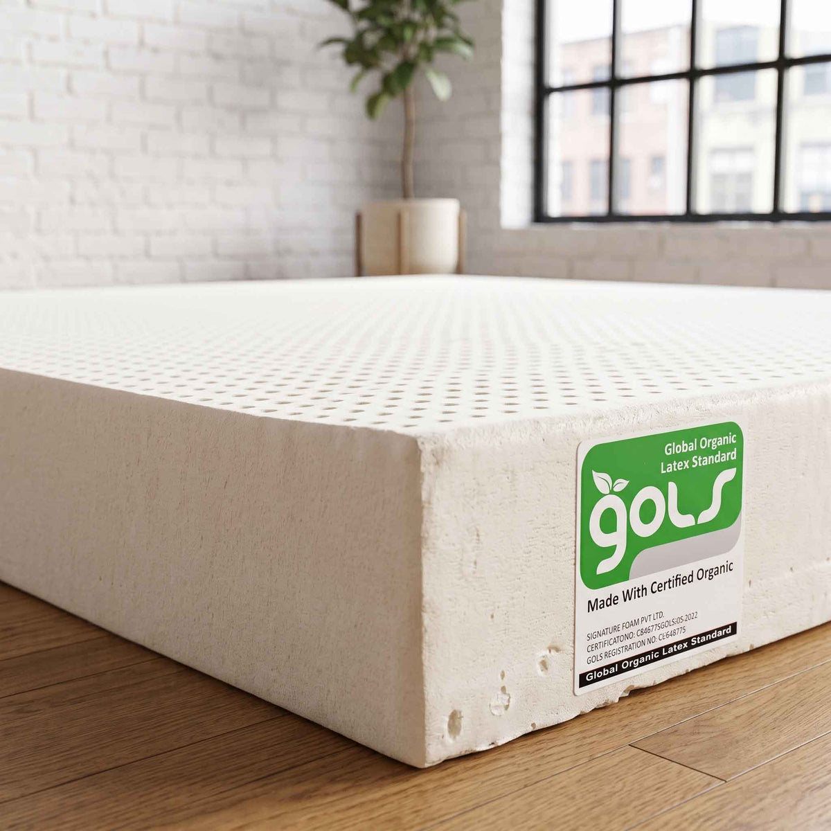 Raw GOLS Organic Dunlop Latex Core