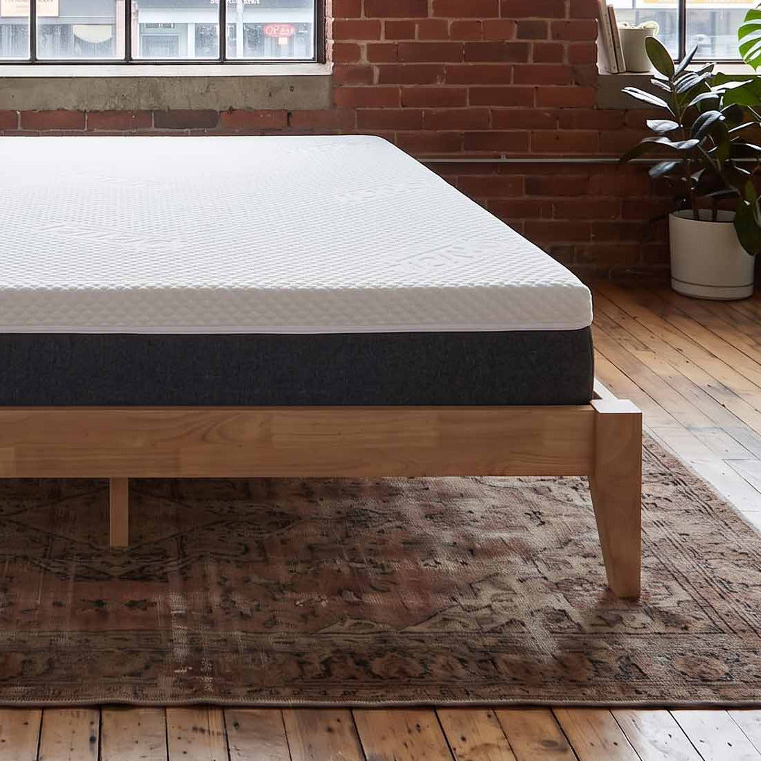 A mattress on a light wood bed frame placed on a patterned area rug in a loft-style bedroom with exposed brick walls, large industrial windows, and wooden floors.