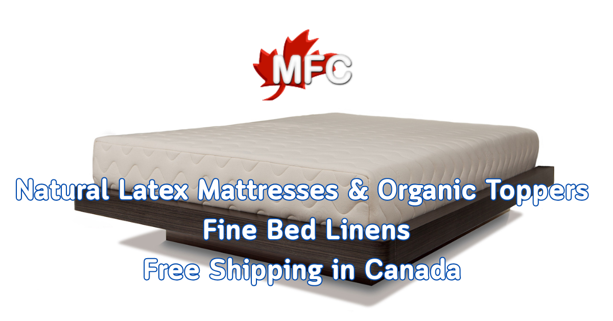 Rebellion Worthy Retail Mattresses (with Zippered Covers) 25