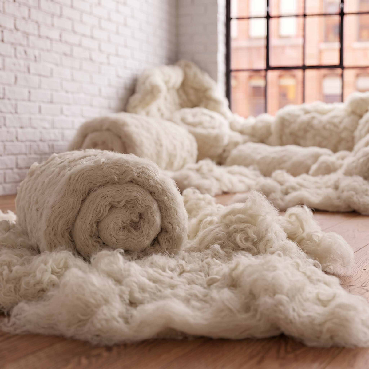 Raw Wool
