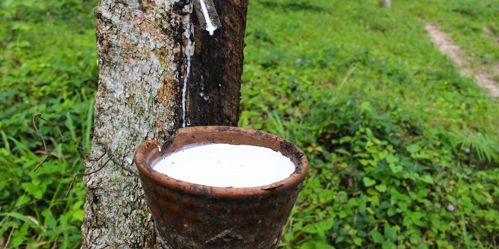 NATURAL SOFT  TALALAY LATEX MATTRESS TOPPER WITH ORGANIC COTTON COVER