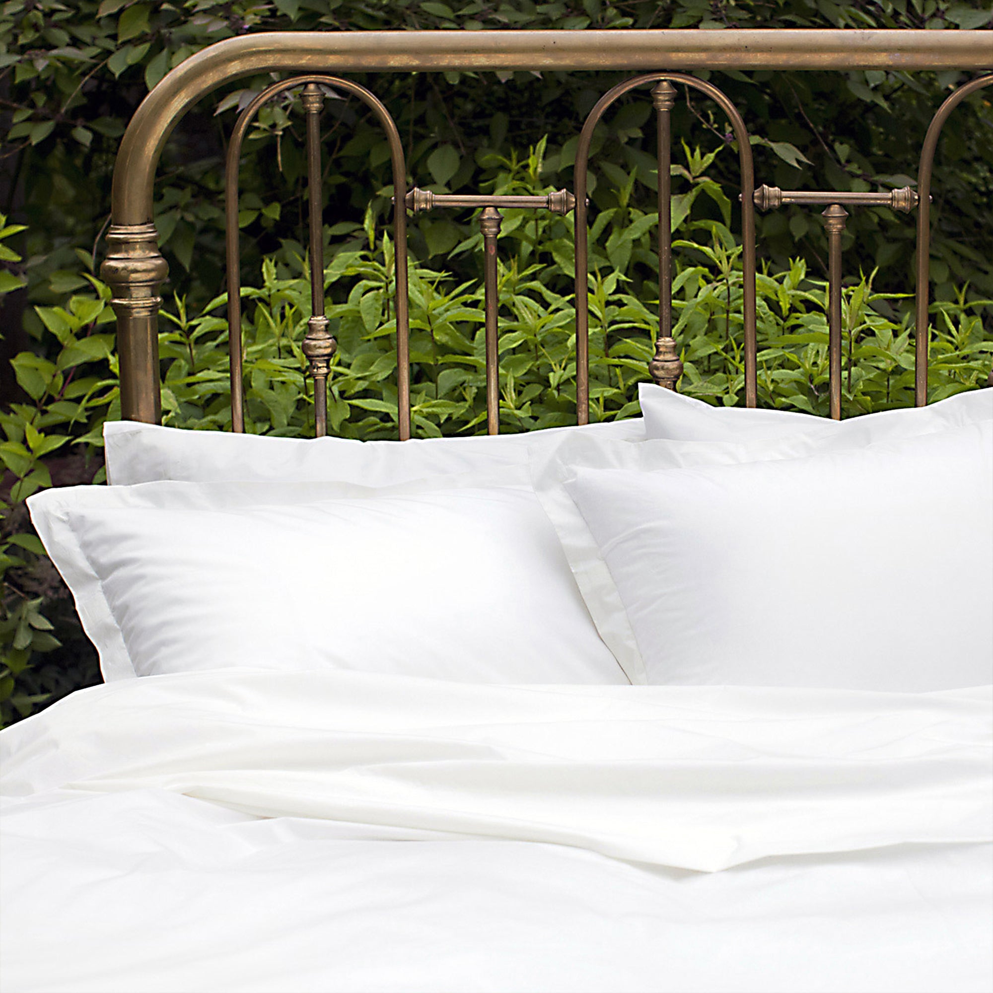 Organic Cotton Bed Sheet Sets